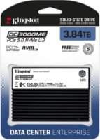 Kingston DC3000ME 3.84TB PCIe 5.0 NVMe U.2 SSD