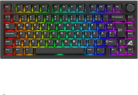 Sharkoon Skiller SGK55W Vezetékes/Wireless USB RGB Gamer Billentyűzet DE - Fekete