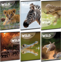 Ars Una The eyes of the wild A5 40 lapos Extra kapcsos vonalas füzet - Többféle