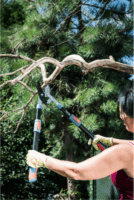 Extol 8873316 Premium Teleszkópos Ágvágó Olló