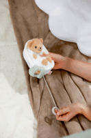 Zapf Creation BABY born® Zenélő mackó plüssfigura babáknak