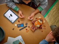 LEGO 75430 Star Wars - Wicket, az Ewok