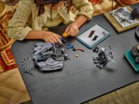 LEGO 76458 Harry Potter - Therstal Család