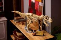 LEGO 76968 Jurassic World - Dinoszaurusz Maradványok : Tyrannosaurus Rex