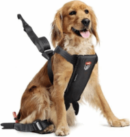 Zolux Travel Safe Autós biztonsági 41-60cm Kutya hám - Fekete