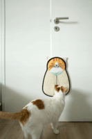 Zolux Felakasztható macskakaparó interaktív játékkal 54cm