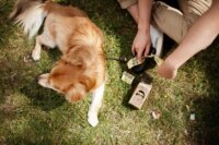 Starch Bag Bio Komposztálható Kutyaürülék zacskó 8 tekercs - Lila