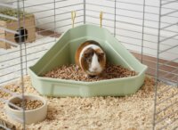 Zolux Cosy Sarok Rágcsáló alomboboz - Zöld