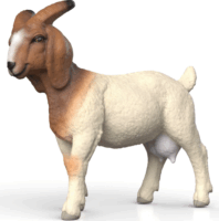 Schleich 14929 Farm World Kecske figura