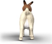 Schleich 14929 Farm World Kecske figura