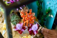 LEGO 10366 Icons - Trópusi Akvárium