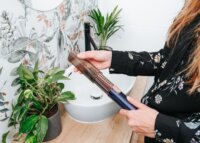 Concept PROFI Care VZ8100 Hajvasaló Titán Bevonattal 220°C - Kék / Arany