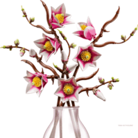 LEGO 11510 Botanicals - Magnóliaágak