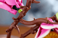 LEGO 11510 Botanicals - Magnóliaágak