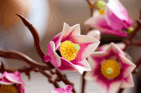 LEGO 11510 Botanicals - Magnóliaágak