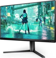Philips 24.5" 25M2N3200U/00 Evnia 16:9 FullHD Fast IPS Gaming Monitor - Szürke