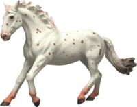 Schleich 14917 Horse Club - Knabstrupper Játékfigura