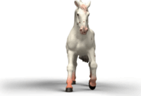 Schleich 14917 Horse Club - Knabstrupper Játékfigura