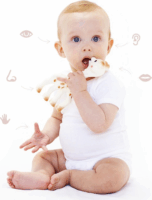 Sophie La Girafe 616331 Zsiráfos rágóka