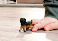 Schleich 14925 Farm World - Németjuhász Kölyökkutya Játékfigura