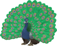 Schleich 14926 Farm World - Páva Játékfigura