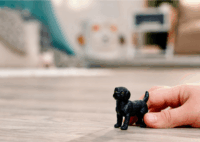 Schleich 14923 Farm World - Fekete Labrador Játékfigura