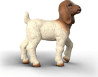 Schleich 14930 Farm World - Kecske Gida Játékfigura