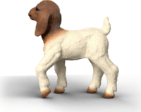 Schleich 14930 Farm World - Kecske Gida Játékfigura