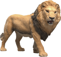 Schleich 14974 Wild Life - Afrikai Oroszlán Játékfigura