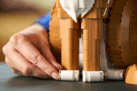 LEGO 21376 Ideas - Narancssárga Macska