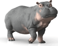 Schleich 14938 Wild Life - Víziló Játékfigura