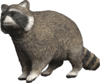 Schleich 14937 Wild Life - Mosómedve Játékfigura