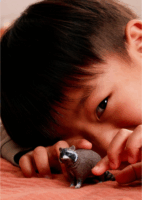 Schleich 14937 Wild Life - Mosómedve Játékfigura