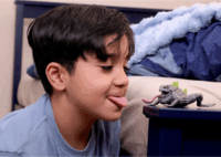 Schleich 70857 Eldrador Creatures kőbéka játékfigura