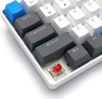 Media-Tech MT1259 60% Mechanikus (Red Switch) Vezetékes Gaming Billentyűzet ENG - Fehér/Szürke/Kék