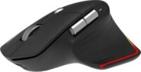 Acer Easy Fit Bluetooth + RF Wireless RGB Egér - Fekete
