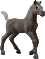 Schleich 81460 Horse Club Darcy csikó gyűjthető figura