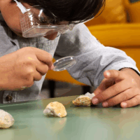 Simba Scout 2 darabos Geoda ásvány készlet