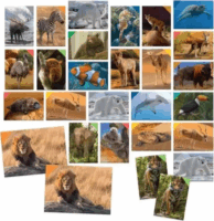 Headu 108 darabos állatos Memóriafejlesztő játék