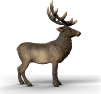 Schleich 14992 Wild Life amerikai gímszarvas játékfigura