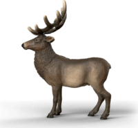 Schleich 14992 Wild Life amerikai gímszarvas játékfigura