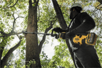 DeWalt DCMASPS5N-XJ Magassági ágvágó adapter DCMAS5713N kerti géphez