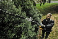 DeWalt DCMASPH6N-XJ Sövénynyíró tartozék DCMAS5713 multifunkciós kerti géphez