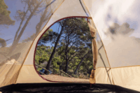 Coleman Darwin 3 személyes Kupola sátor 275 x 185 x 115 cm - Bézs