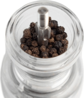 Peugeot Bistro Manuális Só- és borsőrlő szett 10cm - Átlátszó