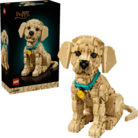 LEGO 11384 Icons - Golden Retriever kutyus