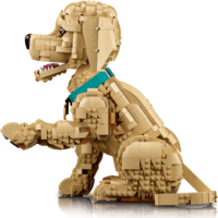 LEGO 11384 Icons - Golden Retriever kutyus