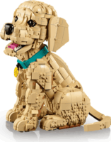 LEGO 11384 Icons - Golden Retriever kutyus