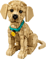 LEGO 11384 Icons - Golden Retriever kutyus