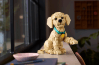 LEGO 11384 Icons - Golden Retriever kutyus